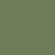 Parrot green